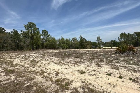 Land in Ocala, Florida № 1650080 - photo 1