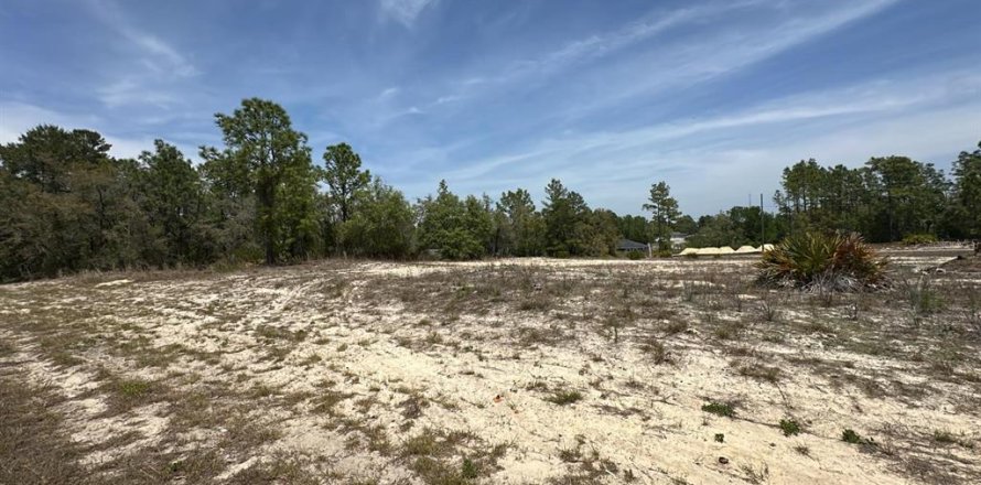 Land in Ocala, Florida № 1650080
