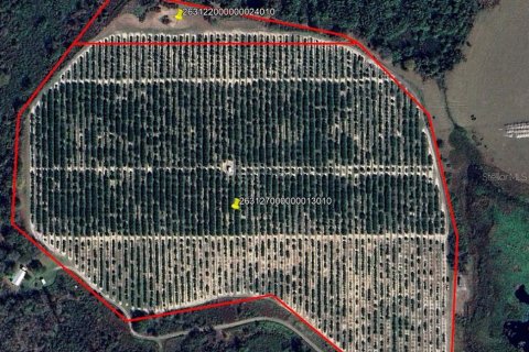Land in Fort Meade, Florida № 1741012 - photo 1