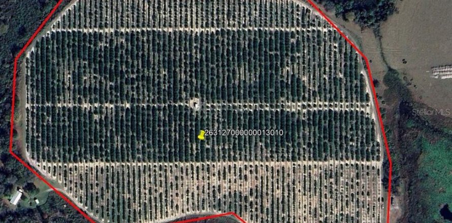 Land in Fort Meade, Florida № 1741012