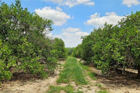 Land in Fort Meade, Florida № 1741012 - photo 4