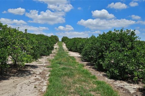 Land in Fort Meade, Florida № 1741012 - photo 6