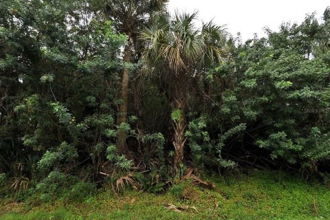 Land in North Port, Florida № 2159146 - photo 2