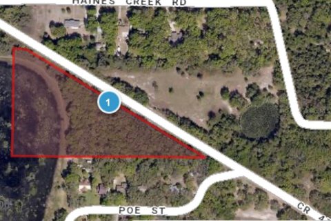 Land in Leesburg, Florida № 260146 - photo 1