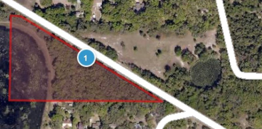 Land in Leesburg, Florida № 260146