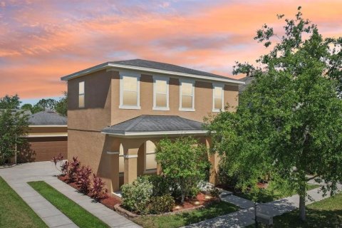 House in Wesley Chapel, Florida 4 bedrooms, 206.06 sq.m. № 2198207