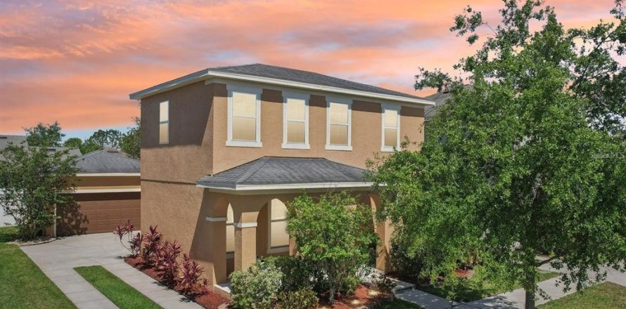 House in Wesley Chapel, Florida 4 bedrooms, 206.06 sq.m. № 2198207
