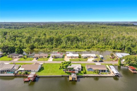 Land in Tavares, Florida № 2220649 - photo 4