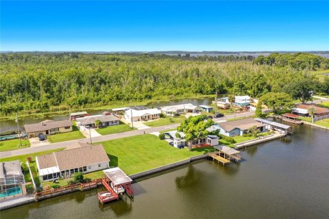 Land in Tavares, Florida № 2220649 - photo 12