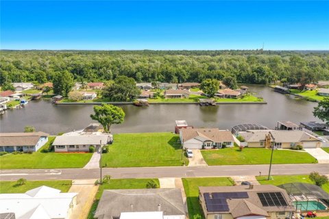 Land in Tavares, Florida № 2220649 - photo 10