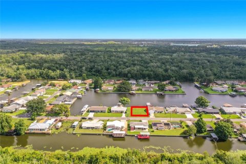 Land in Tavares, Florida № 2220649 - photo 3