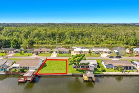 Land in Tavares, Florida № 2220649 - photo 2