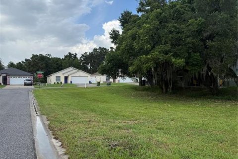 Terreno en Leesburg, Florida № 2203449