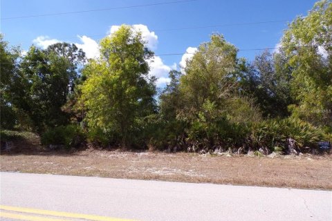 Land in Punta Gorda, Florida № 2402755 - photo 3