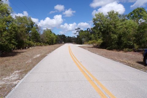 Land in Punta Gorda, Florida № 2402755 - photo 8