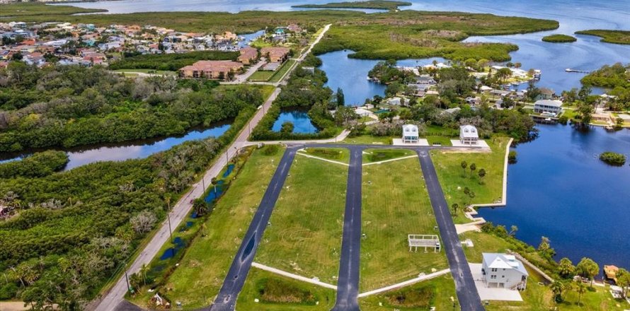 Terrain à New Port Richey, Floride № 1919275