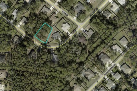 Land in Palm Coast, Florida № 1785066 - photo 4