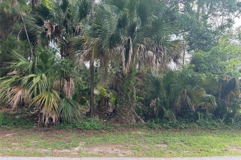 Land in Palm Coast, Florida № 1785066 - photo 2