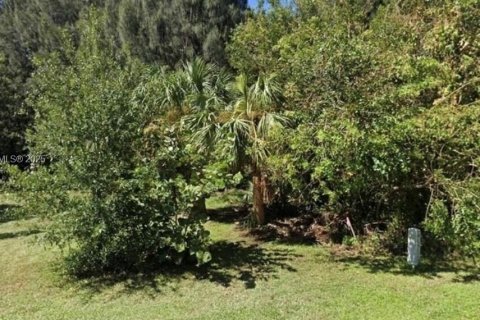 Terreno en venta en Sebastian, Florida № 1864835 - foto 6