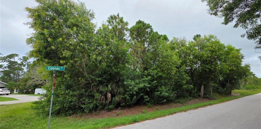 Land in Punta Gorda, Florida № 2228839