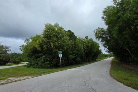 Land in Punta Gorda, Florida № 2228839 - photo 2