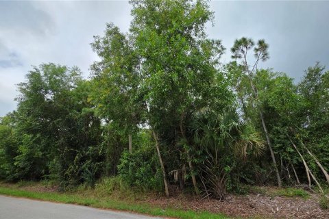 Land in Punta Gorda, Florida № 2228839 - photo 3
