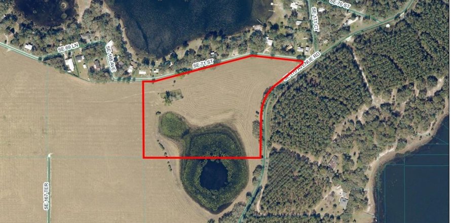 Terreno en Ocklawaha, Florida № 1278833