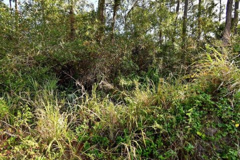 Land in Fort Pierce, Florida № 1172820 - photo 1