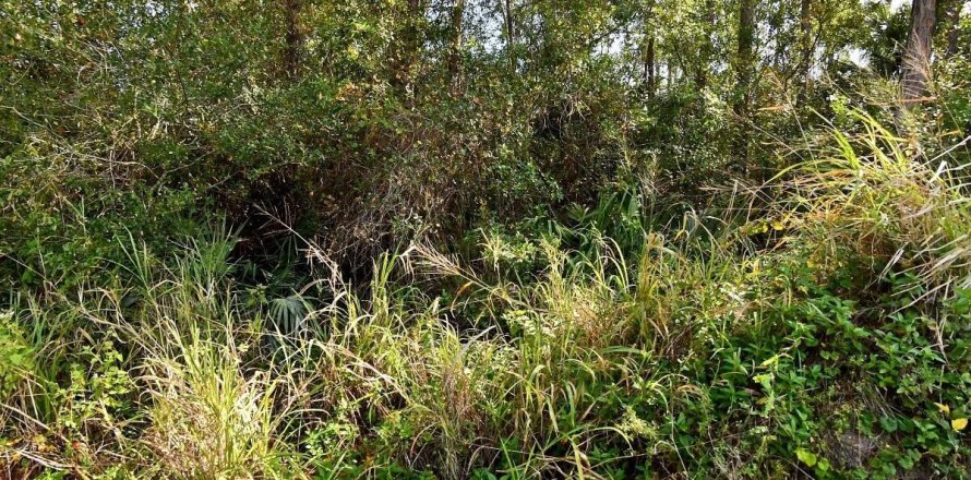 Land in Fort Pierce, Florida № 1172820