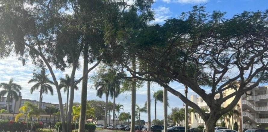 Condo à Boca Raton, Floride, 1 chambre № 1188589