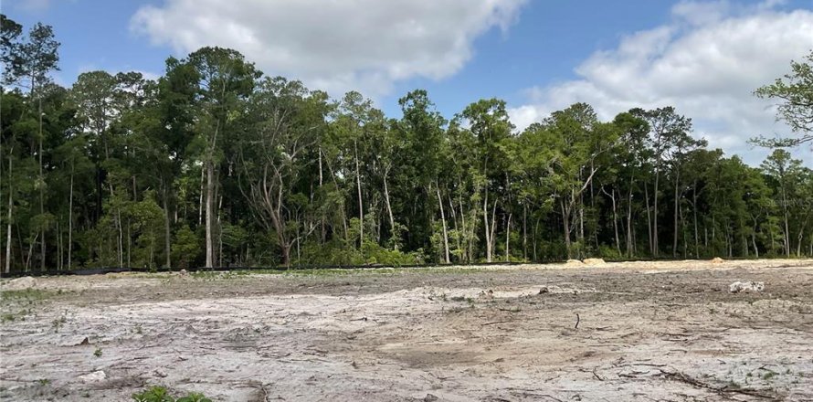 Land in Gainesville, Florida № 1654484
