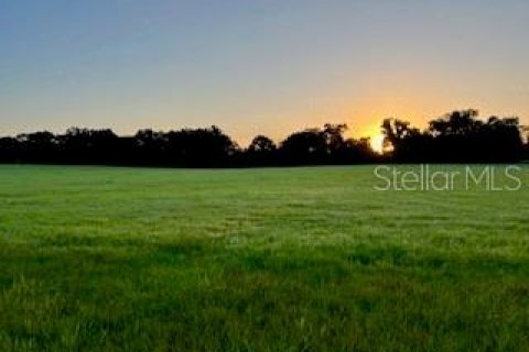 Land in Citra, Florida № 1903898 - photo 1