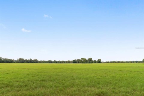 Land in Citra, Florida № 1903898 - photo 6