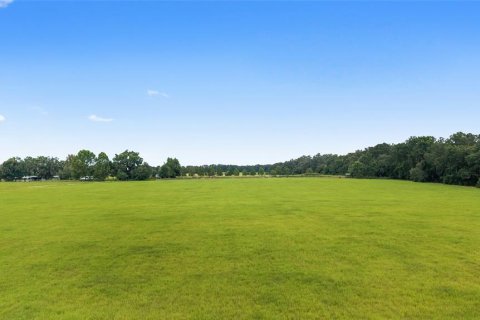 Land in Citra, Florida № 1903898 - photo 8