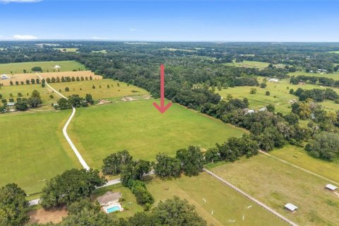 Land in Citra, Florida № 1903898 - photo 2