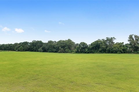 Land in Citra, Florida № 1903898 - photo 9