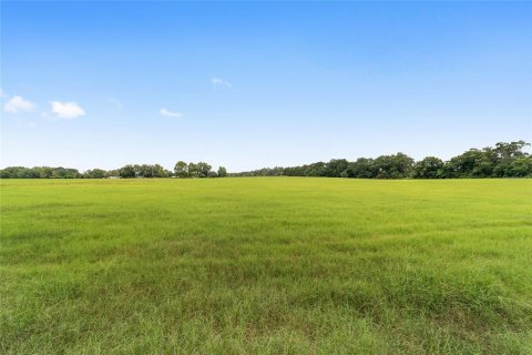 Land in Citra, Florida № 1903898 - photo 7