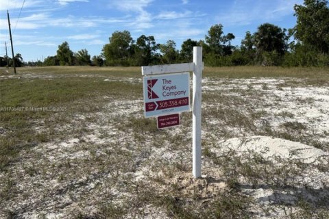 Terrain à vendre à Cape Coral, Floride № 1985253 - photo 1