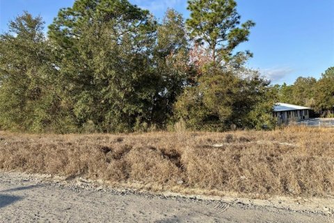 Terrain à Belleview, Floride № 2109130