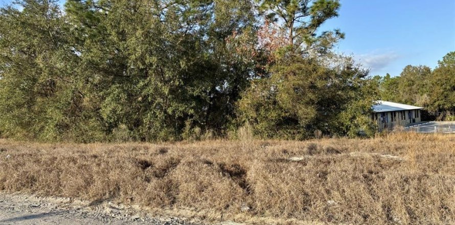 Land in Belleview, Florida № 2109130