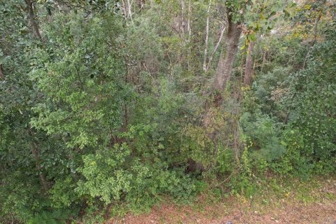 Terrain à vendre à Quincy, Floride № 2232771 - photo 6