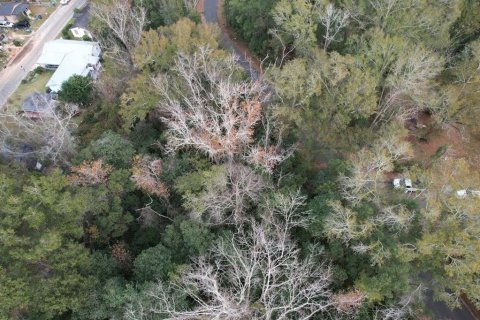 Land in Quincy, Florida № 2232771
