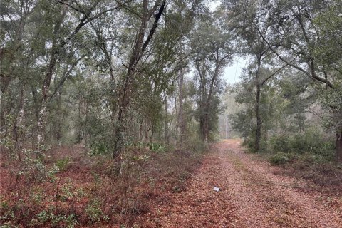 Terrain à vendre à Sumter, Floride № 2108147 - photo 2
