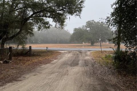 Land in Sumter, Florida № 2108147