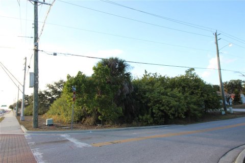 Land in Punta Gorda, Florida № 2161165