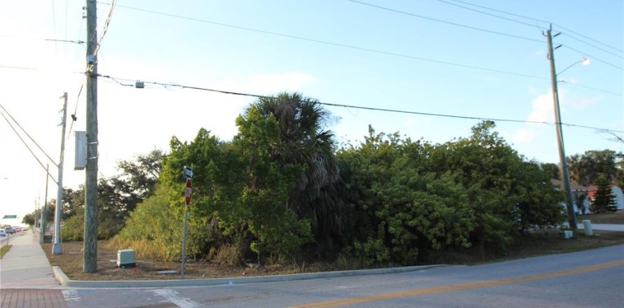 Land in Punta Gorda, Florida № 2161165
