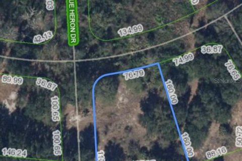 Land in Sebring, Florida № 2162985 - photo 2