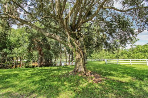 House in Jupiter, Florida 2 bedrooms, 179.3 sq.m. № 2420708 - photo 15