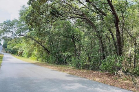 Land in Lecanto, Florida № 2159226