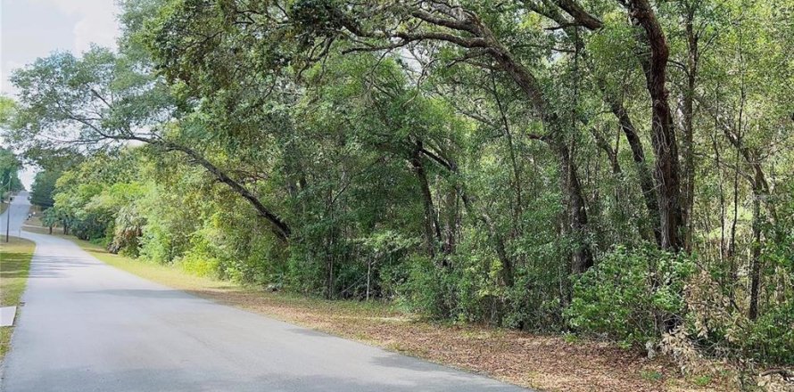 Land in Lecanto, Florida № 2159226